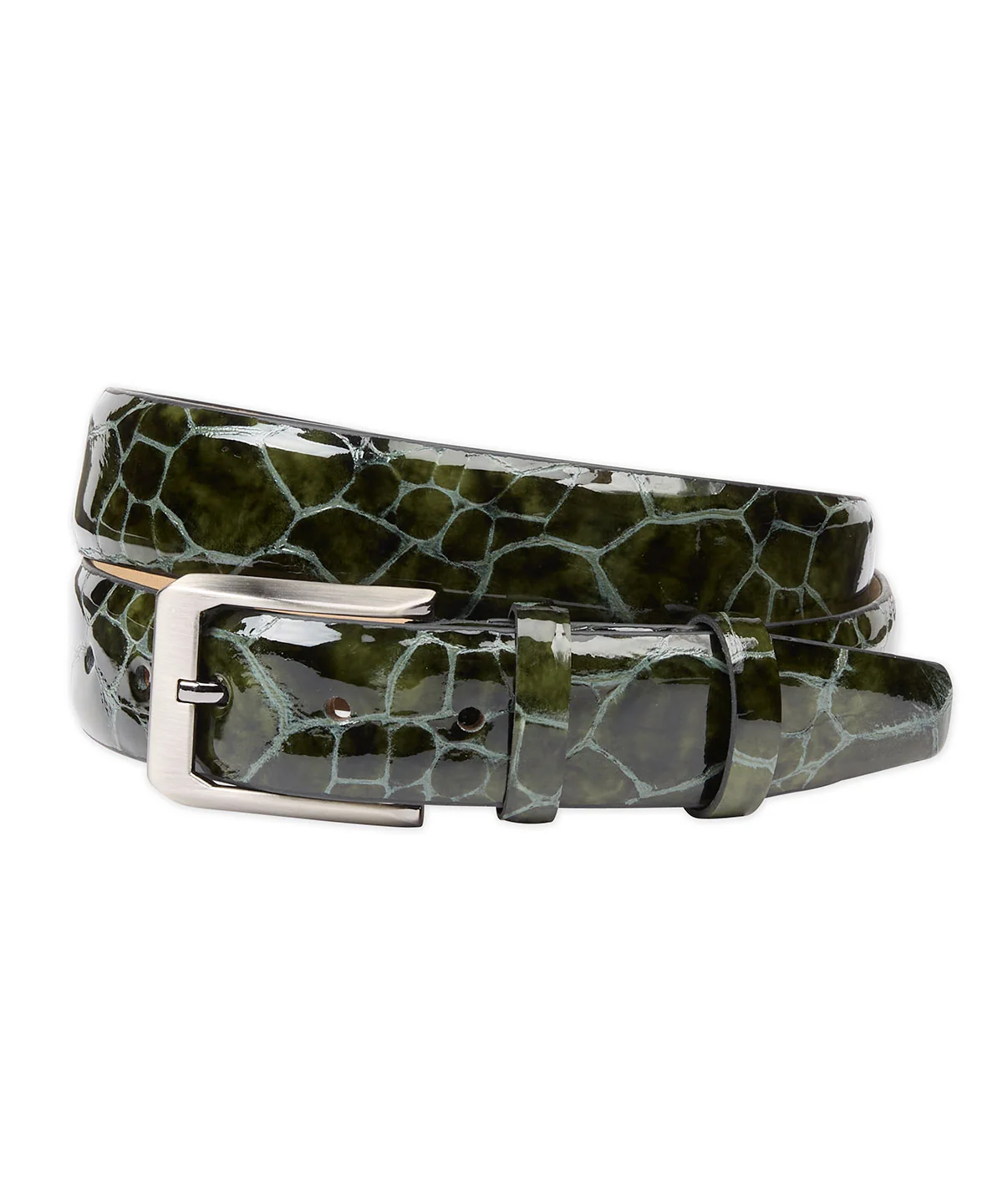The Emerald Caiman Belt 1 The Emerald Caiman Belt